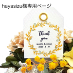 hayasizu様専用購入ページ