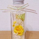 ハーバリウム ミニイエロー
