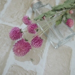 千日紅　茎・葉つき　ライラック　ドライフラワー