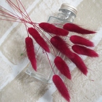 ラグラス　ダークレッド10本