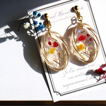 1点もの❤️ドライフラワーピアス＆イヤリング