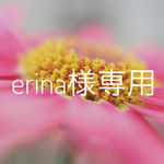 erina様専用スワッグでガーランド⑩