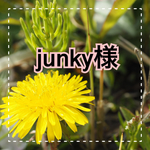 ♡junky様＊専用ページ♡