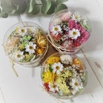ドライフラワー★黄色ベース花材ヘッドアソートパック ／ 1パック
