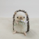 ミニハリネズミ