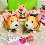 ne-co69様専用ページ🐶🐶