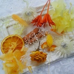 花材セット 12種類 (オレンジ/イエロー系)