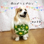 コーギー(♀)　雨上がりエプロン＊大判花柄GREEN 女の子