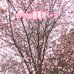 co-miyu様専用ページ
