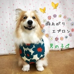 コーギー(♂)　雨上がりエプロン＊大判花柄BLUE　男の子