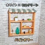 オーダーOK 壁掛けコレクションシェルフ 幅50cm カフェ風 パイン色 ホワイト×モスグリーン