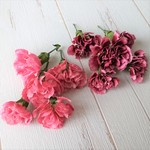 ドライフラワー★スプレーカーネーション　花のみ　10個