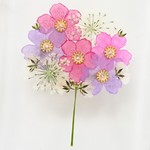 押し花のiPhoneケース - bouquet - Best Friend