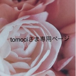 ミントグリーンの2wayバッグ（tomociさま専用ページ）