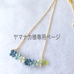 ヤマナカ様専用ページです。