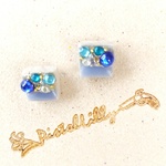 No.9629 送料込♥ピアス