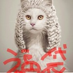 謎袋