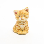 コルクのねむい茶トラ子猫