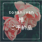 soraniyan様ご予約品