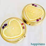 jfc🍋ハートレモンのcuteなピルケース