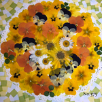 ♡new♡ 送料無料！¥1160 ♡たっぷり押し花セット♡