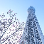 C様ご注文商品