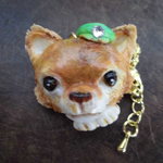 いぬ⋄犬のネックレス