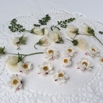 花かんざしとえんどう豆の花のドライフラワー