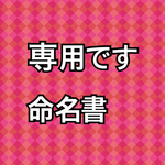 [コピー] 専用です 命名書