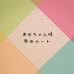 お客様専用カートです。