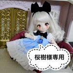 【桜樹様専用】ミニスウィーツドール  ドレスセット