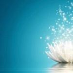 hamaayu5様 専用