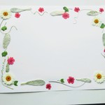 syuuun様ご注文品です(子育て感謝状用　押し花セット)