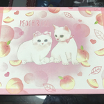 本日23日のみお値下げ(><) おすそ分けファイル 身いっぱいです♡ ももと白猫 ＊送料無料＊