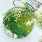 【再販】 グリーン系 ハートリーフ ハーバリウム 癒し系インテリア