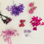 ハーバリウム花材キット purple×pink