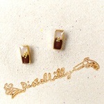 No.9696 送料込♥ピアス