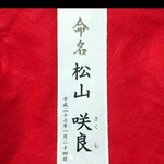 内祝いに 命名札 短冊 