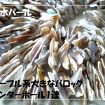♪送料無料♪淡水パール　大きなバロック＆琵琶　センターホール1連