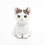 コルクのキジ白とび子猫