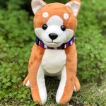 柴犬さん