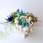 preserved flowers  arrange