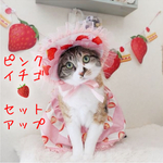 5月13日(日)21時頃入荷♡ピンクイチゴ・セットアップ♡