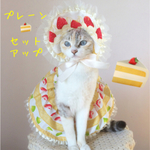 最終入荷予定5月27日(日)21時頃♡プーレン・セットアップ♡