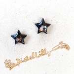 No.9730 送料込♥ピアス