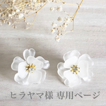 ヒラヤマ様専用ページ