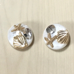 WHITE CLEAR RESIN DOME SEASELL STARFISH CABOCHONS