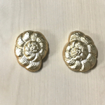 VINTAGE AMMONITE SELL GOLD CABOCHONS