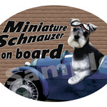カーステッカー　ミニチュアシュナウザー　(DOG ON BOARD / IN CAR ステッカー)