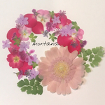 63.押し花アソート〜ピンク 赤系 ガーベラ 小花 mix 押し花素材